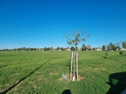 Terreno en Venta de 300,0 m2