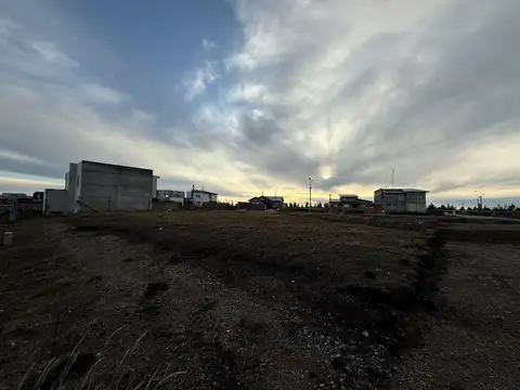 VICENZO BELLINI 1800