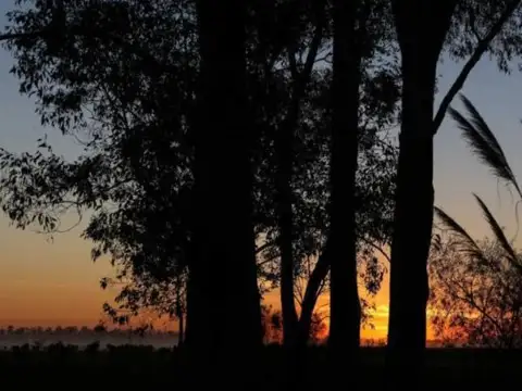 Terreno en Venta de 1036,0 m2