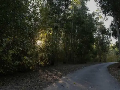 Terreno en Venta en Oliveros, USD 25.000