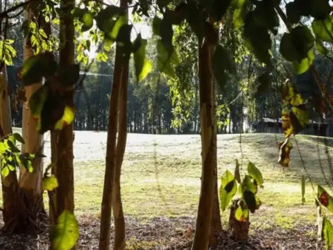 Terreno en Venta de 1036,0 m2