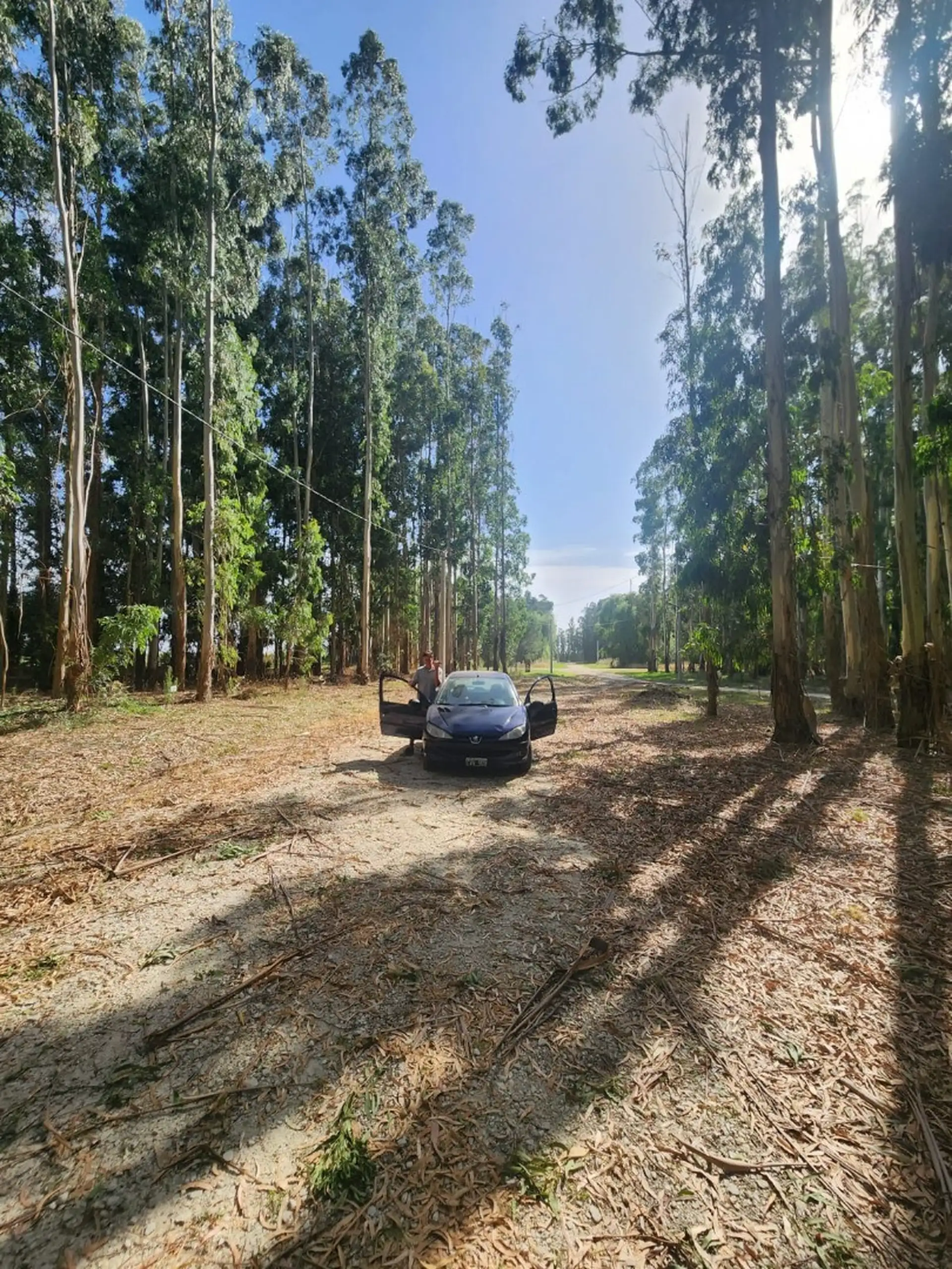 Lote en Venta de 442m² en Barrio Tipantu