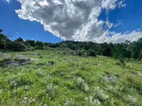  SE VENDE LOTE  3 HECTAREAS VILLA BERNA
