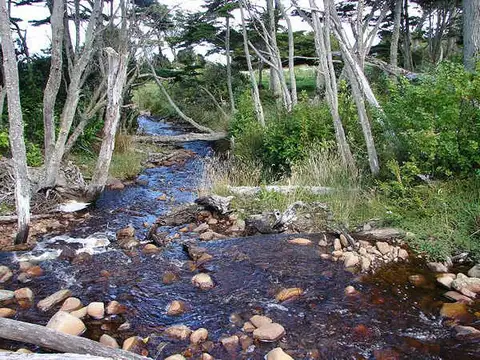 1000 has en el Fin del Mundo, con 4 km de costa sobre el Canal de Beagle