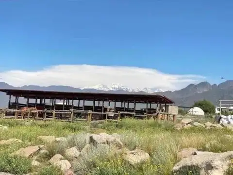 Terreno en Venta de 4353,0 m2