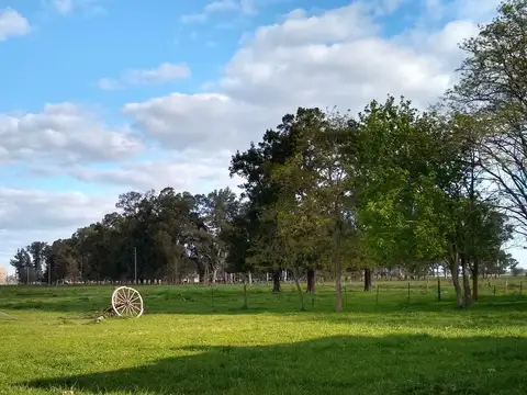 VENTA CHACRA 6 AMBIENTES CAÑUELAS