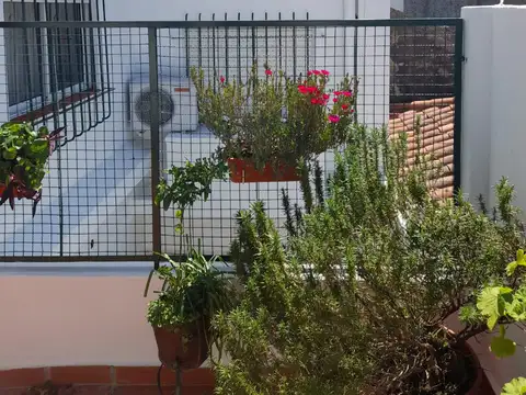 Depto Tipo Casa en Alquiler 50 años