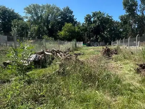 Echagüe Y Bustamante Sn