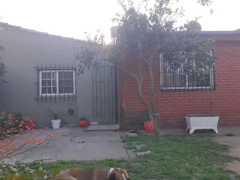 50/16 Y 17