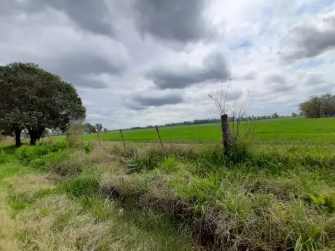 Terreno en Venta de 1485,0 m2