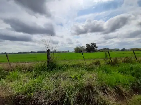 VENTA LOTE 20 DE JUNIO