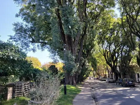 Eduardo Costa  1558 2º