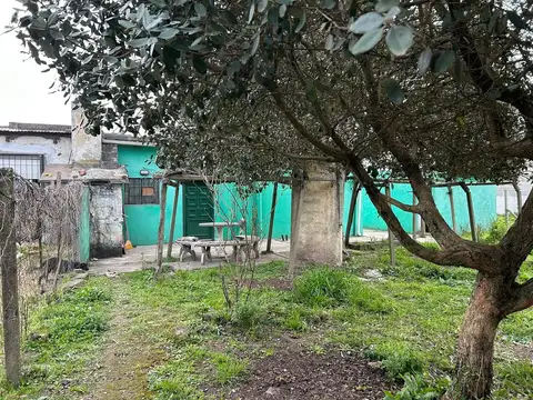 Constitución 100