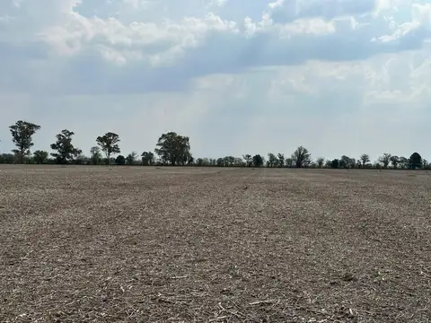 Excelente campo 100% agrícola de 179,54has - RP17 KM284