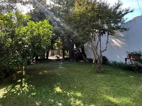 Pedro Martini, Zarate 800