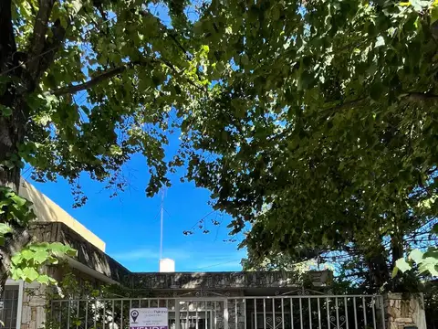 Pedro Martini, Zarate 800