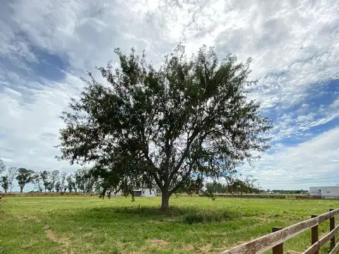 Terreno en Venta 40  mts Fondo