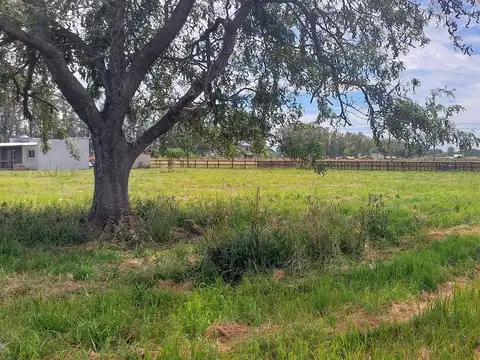 Parque Nacional Lanin s/n