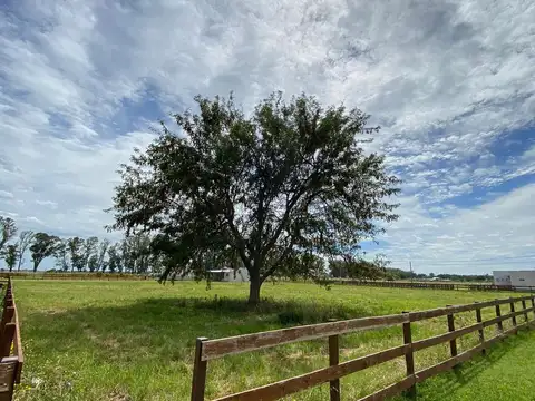 Parque Nacional Lanin s/n