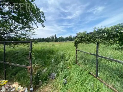 RUTA PROVINCIAL 36 al 5900