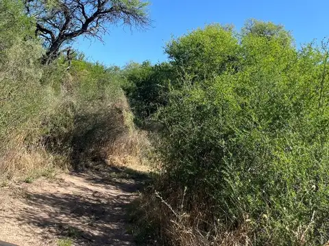 Terreno en Venta de 19000,0 m2