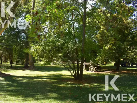 Campos de Roca Ruta 2 Km 65