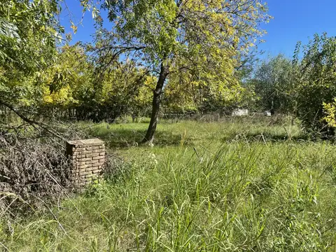 El Cardenal y La Calandria