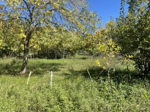 Terreno en Venta 37,50  mts Frente