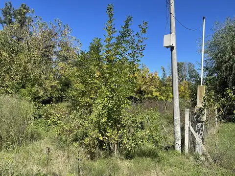 Lindísimo lote en venta en El Zorzal