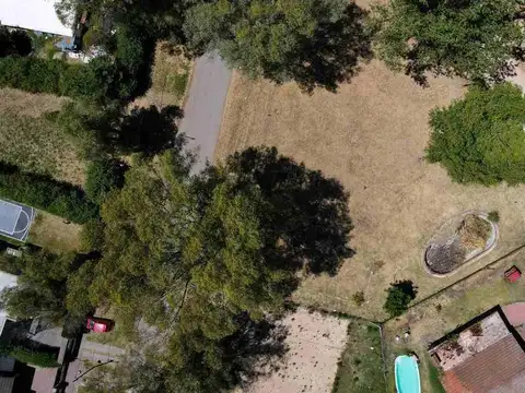 Terreno en Venta de 733,0 m2