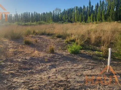 Terreno en Venta 24  mts Fondo