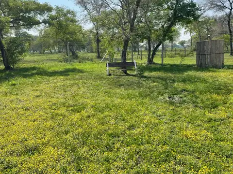 Campo Dellamea-Colonia Benitez