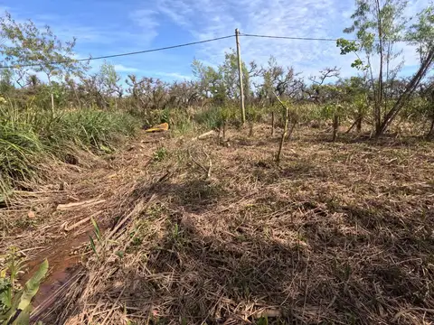 Terreno | Isla | Venta | Delta | Permutas | Financiación