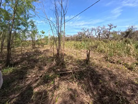 Terreno | Isla | Delta Tigre