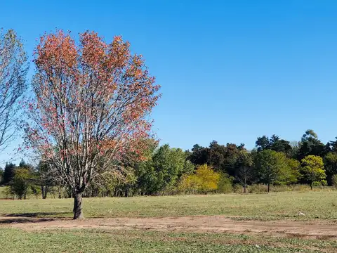 Terreno en Venta de 705,0 m2