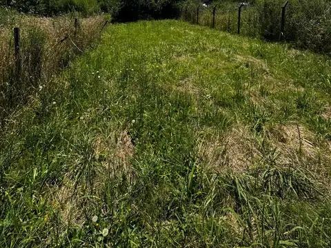 Terreno en Venta 30  mts Fondo