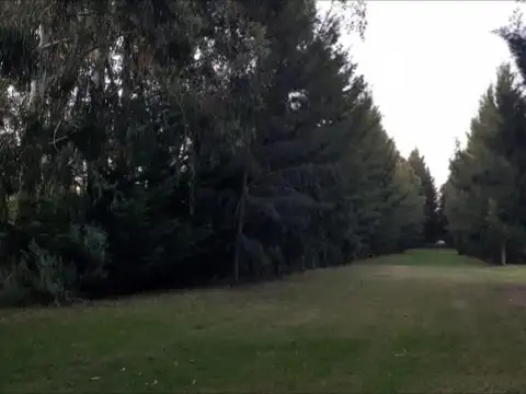 Terreno en venta - 1.379mts2 - Club Miralagos