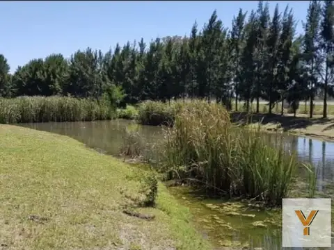 Terreno en venta - 1.379mts2 - Club Miralagos