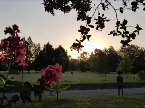 Terreno en Venta de 1379,0 m2