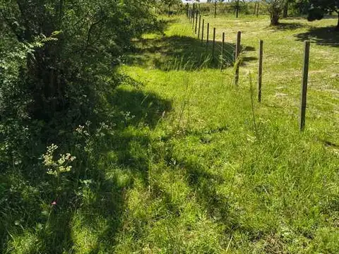 Terreno en Venta de 5055,0 m2