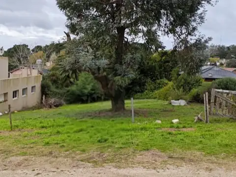 Florencia
Florencia esquina Francisco