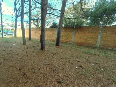 Terreno en Venta 10  mts Frente
