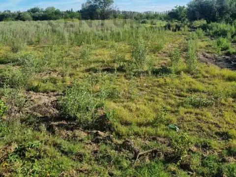 Campo en Venta de 1,07  ha