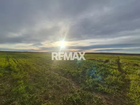 Vende Chacra 5ha Senillosa, Pcia de Neuquen