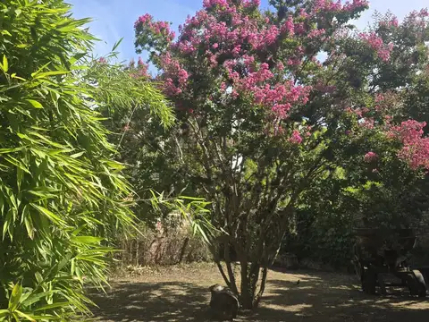 Terreno en Venta 14  mts Frente