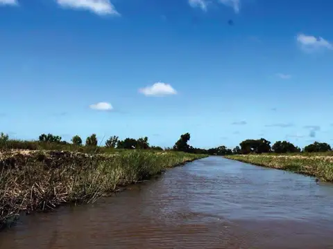 Terreno en Venta de 10050,0 m2