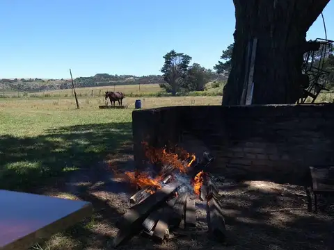 CAMPO EN VENTA PROVINCIA DE BUENOS AIRES RUTA 226