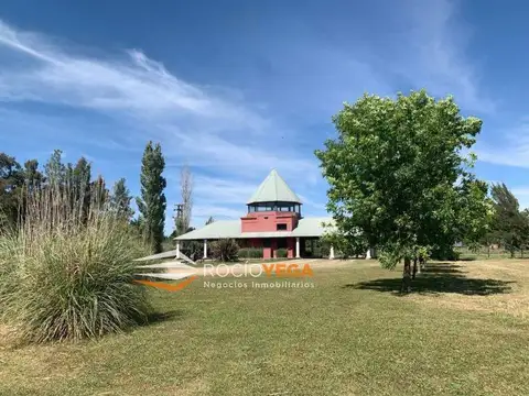 Terreno en Venta 50  mts Fondo