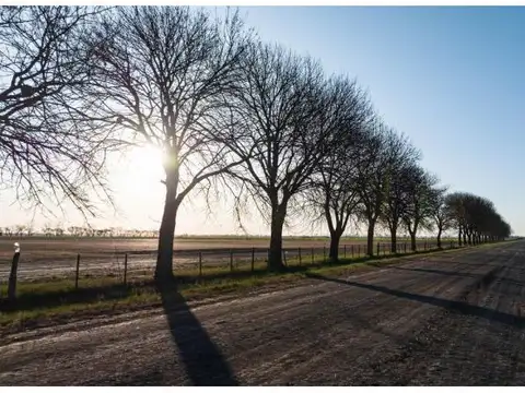 Lote cercano AO12 - Ibarlucea - Cinco Lagos - Barrio cerrado - Ruta 34 Km 10 - Lote 226