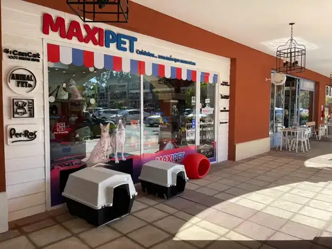 Caamaño